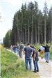 A group of people start walking down a trail near a forest