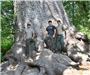 Three men stand on the base of a large tree