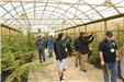 A group of people walks through a green house of trees