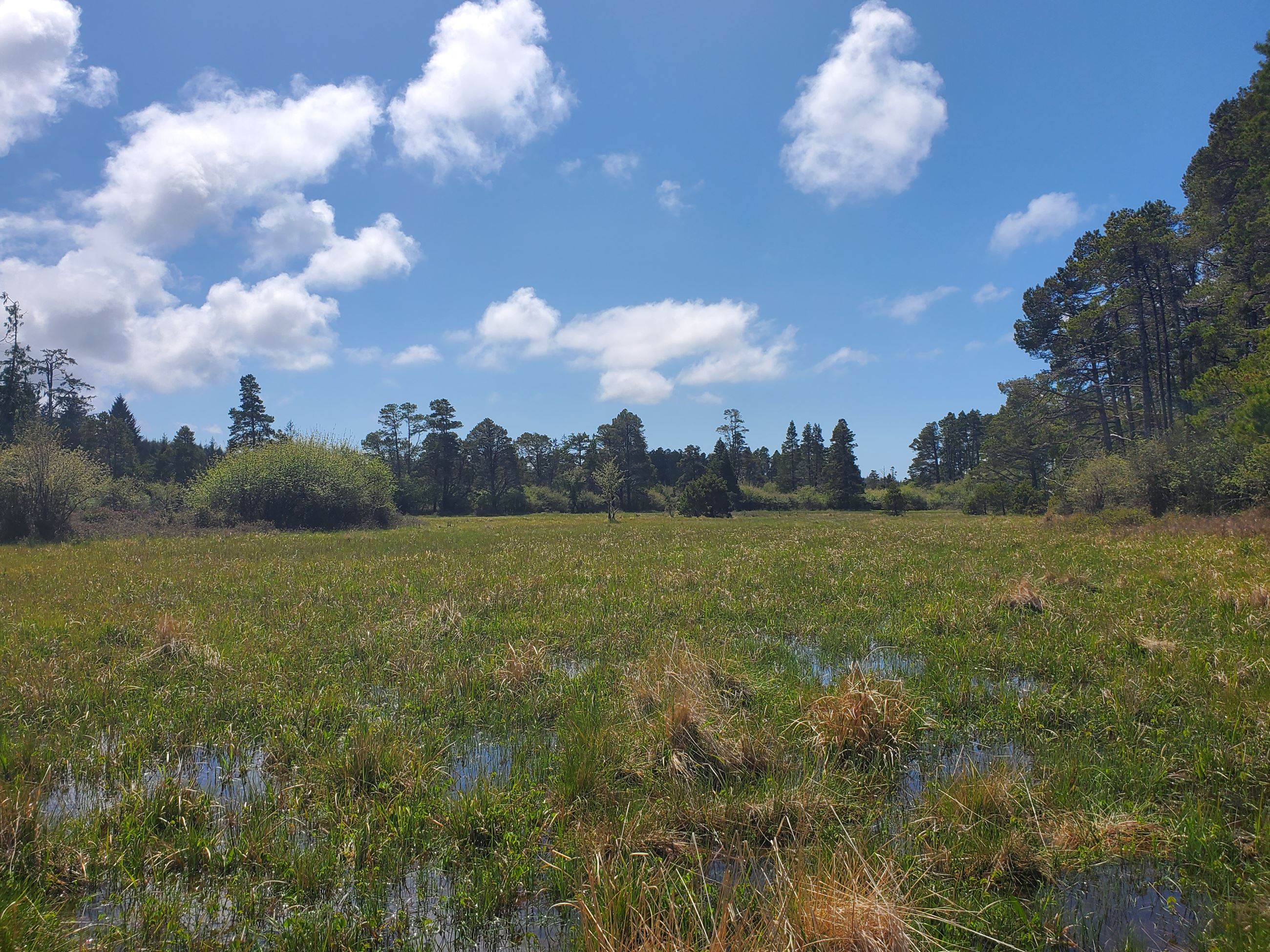Beautiful landscape photo of a prairie