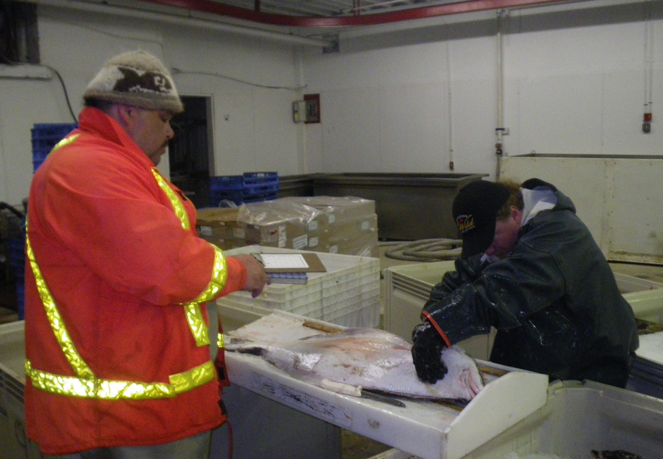 Bruce Wagner and Scott Mazzone sampling a halibut in 2012