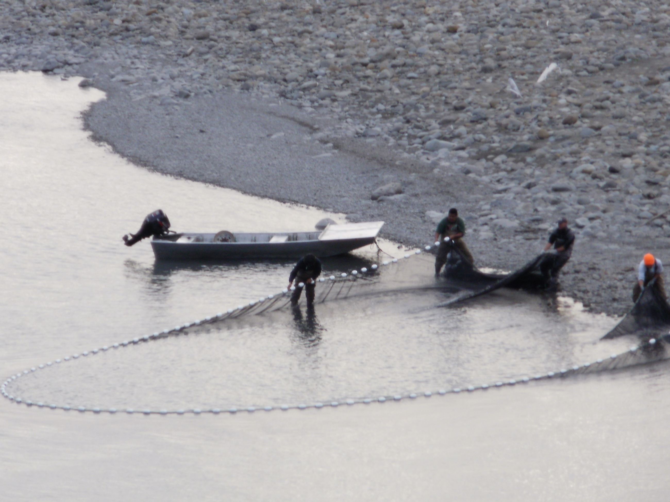 crew with seine in Queets River 2010