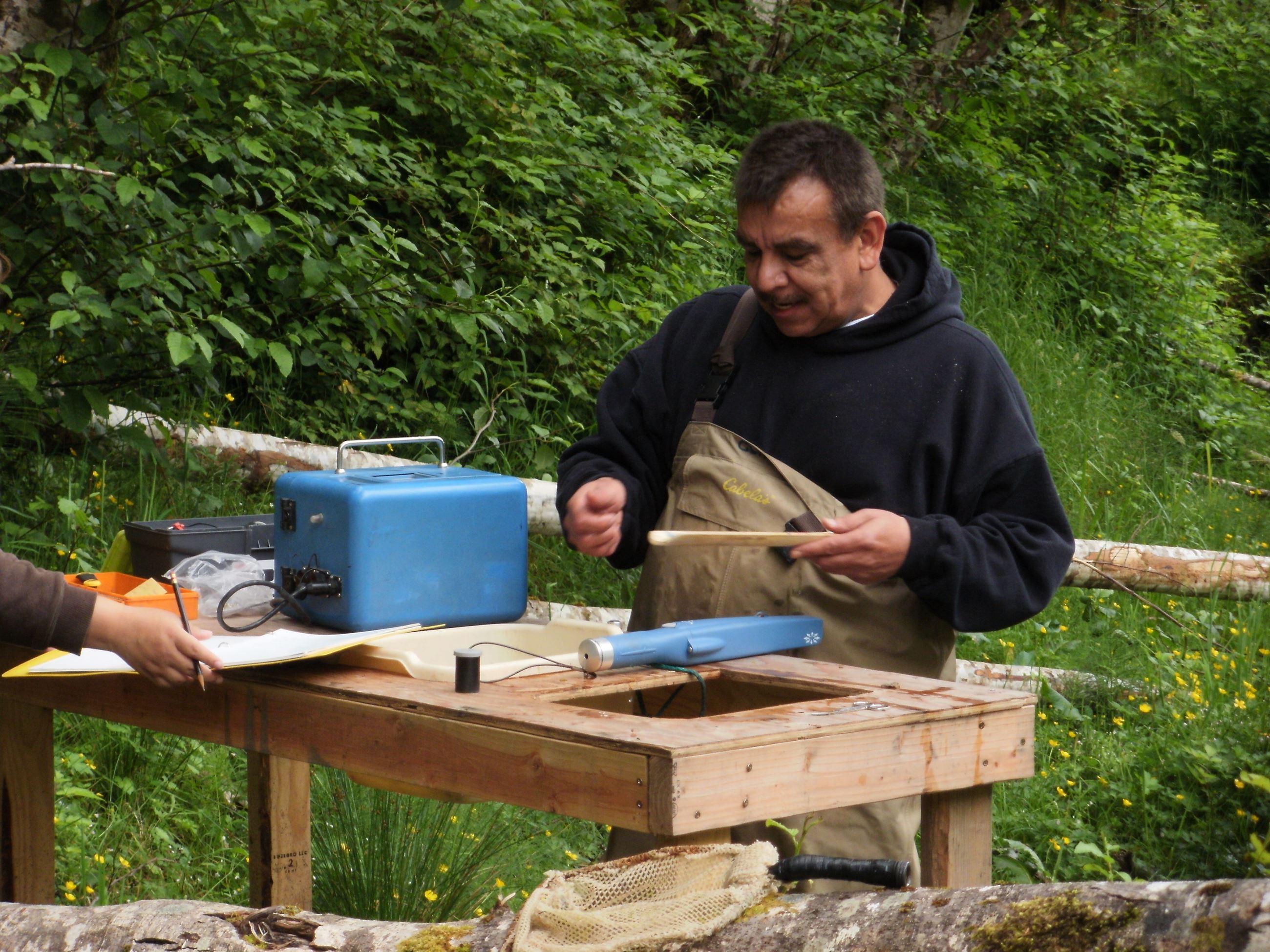 Cliff Sampson tagging trapped fish at Ranger Creek 2010