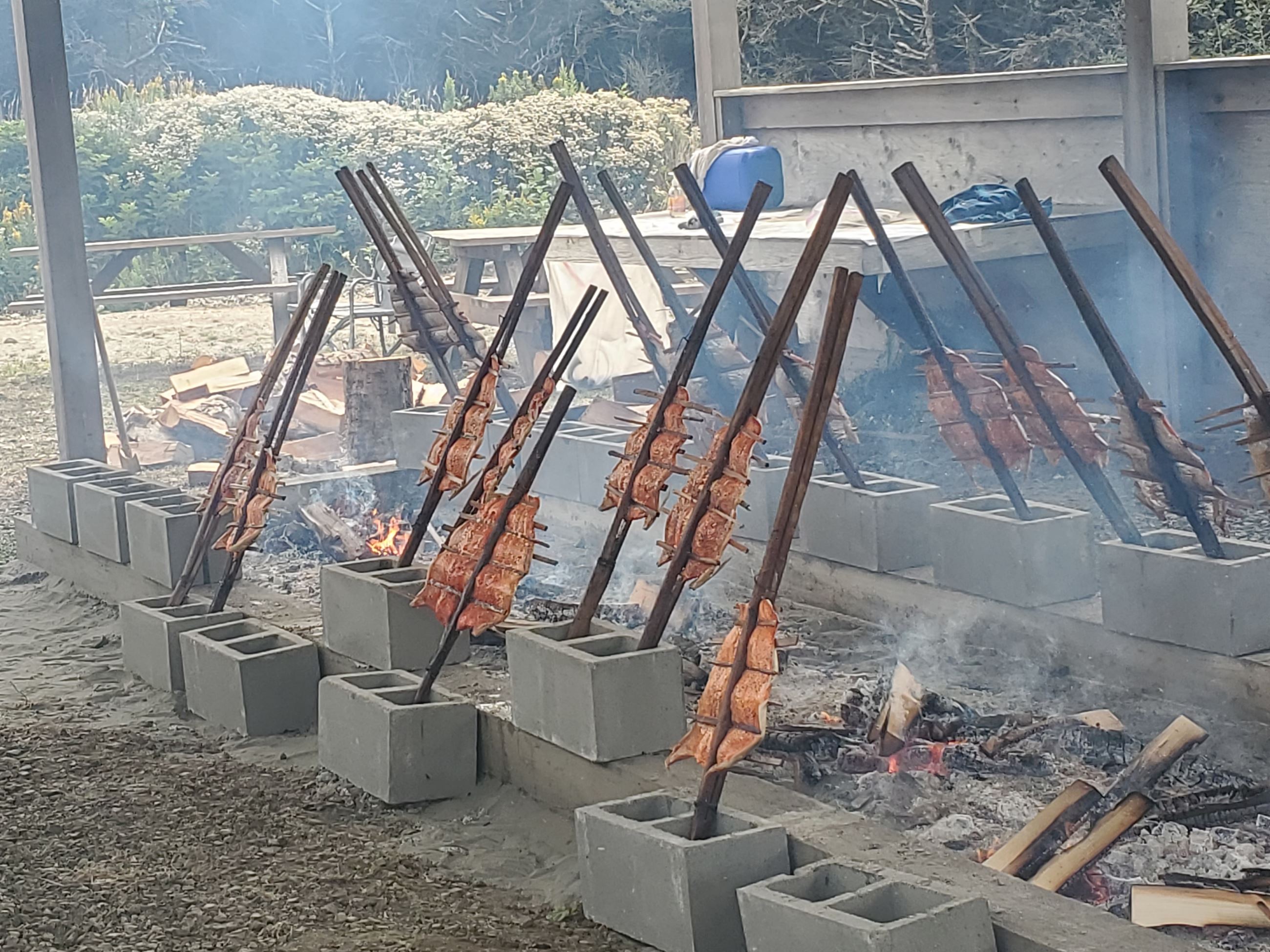salmon cooking over a fire