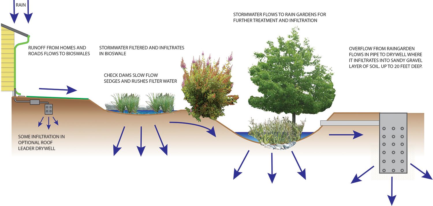 Graphic Explaining the Flow of Stormwater