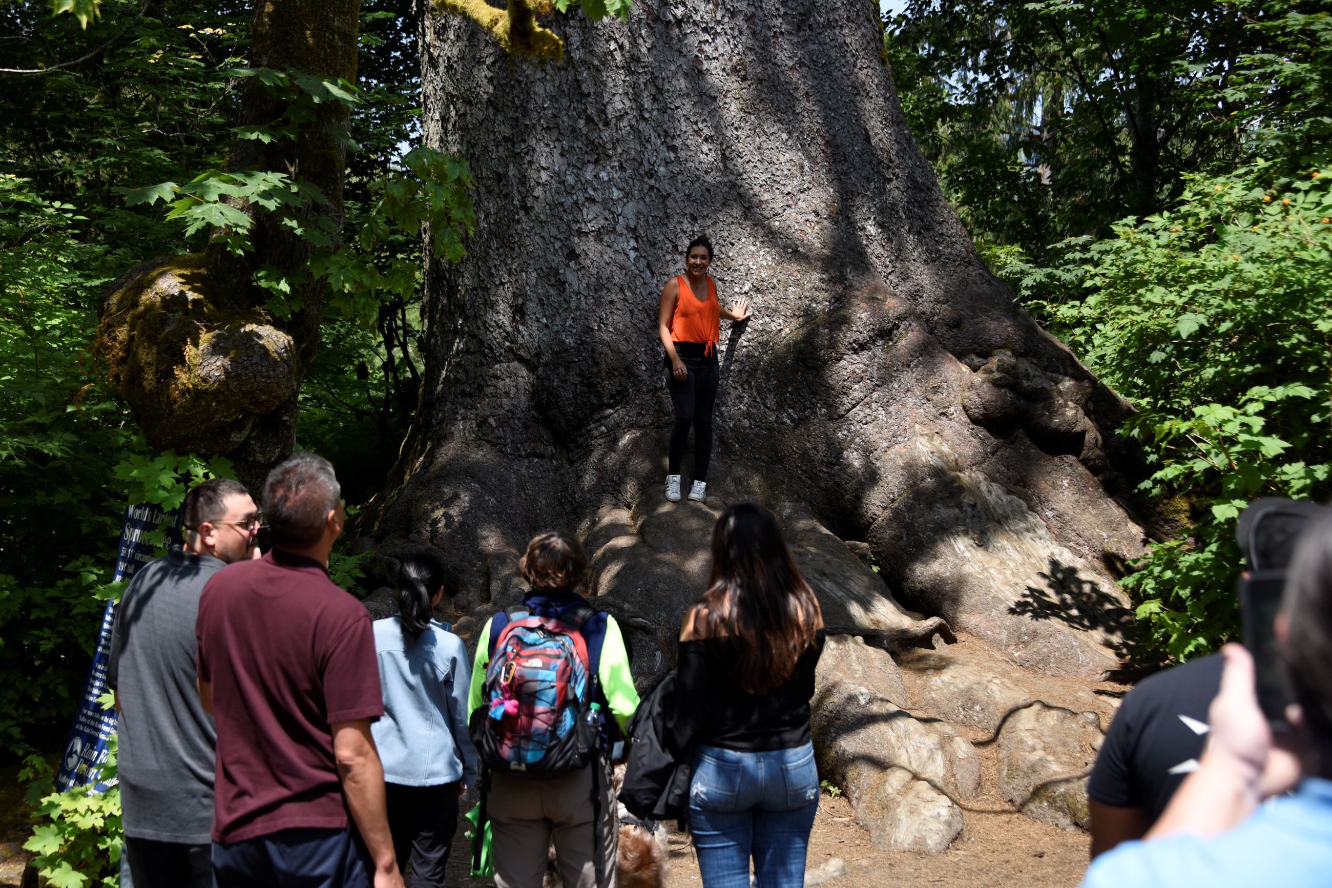 A woman standing at the base of a large tree