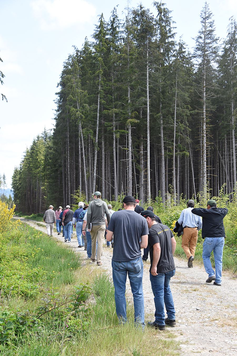A group of people start walking down a trail near a forest