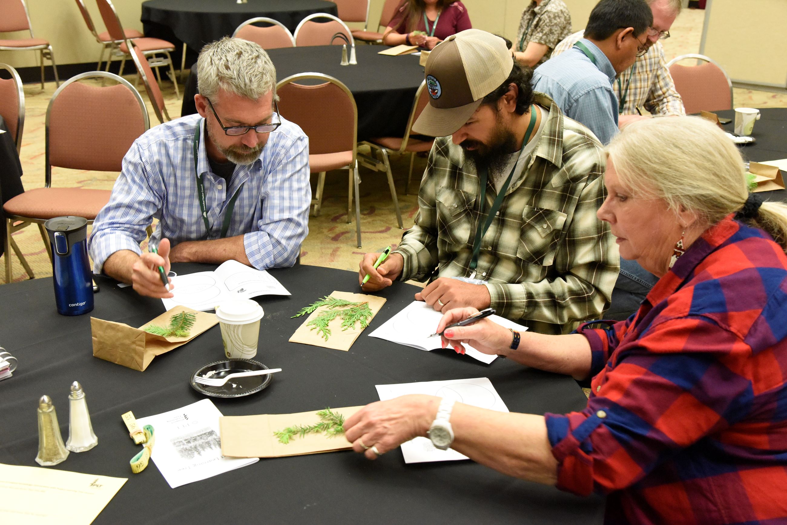 Three people looking at leaves and writing in notebooks