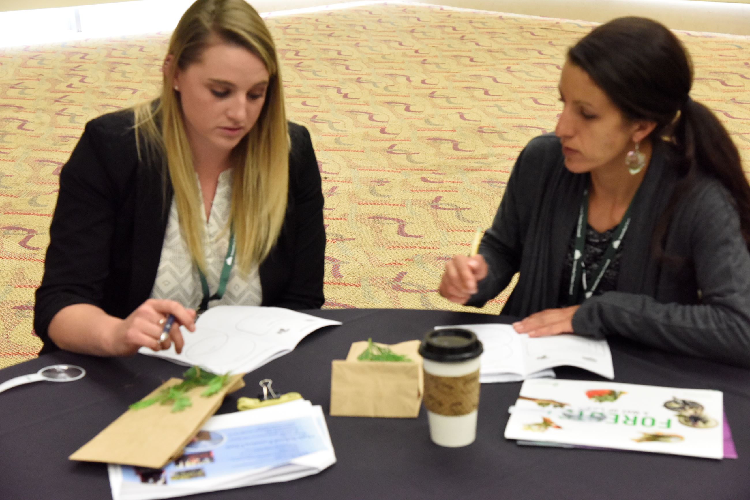 Two women at a table looking at pamphlets