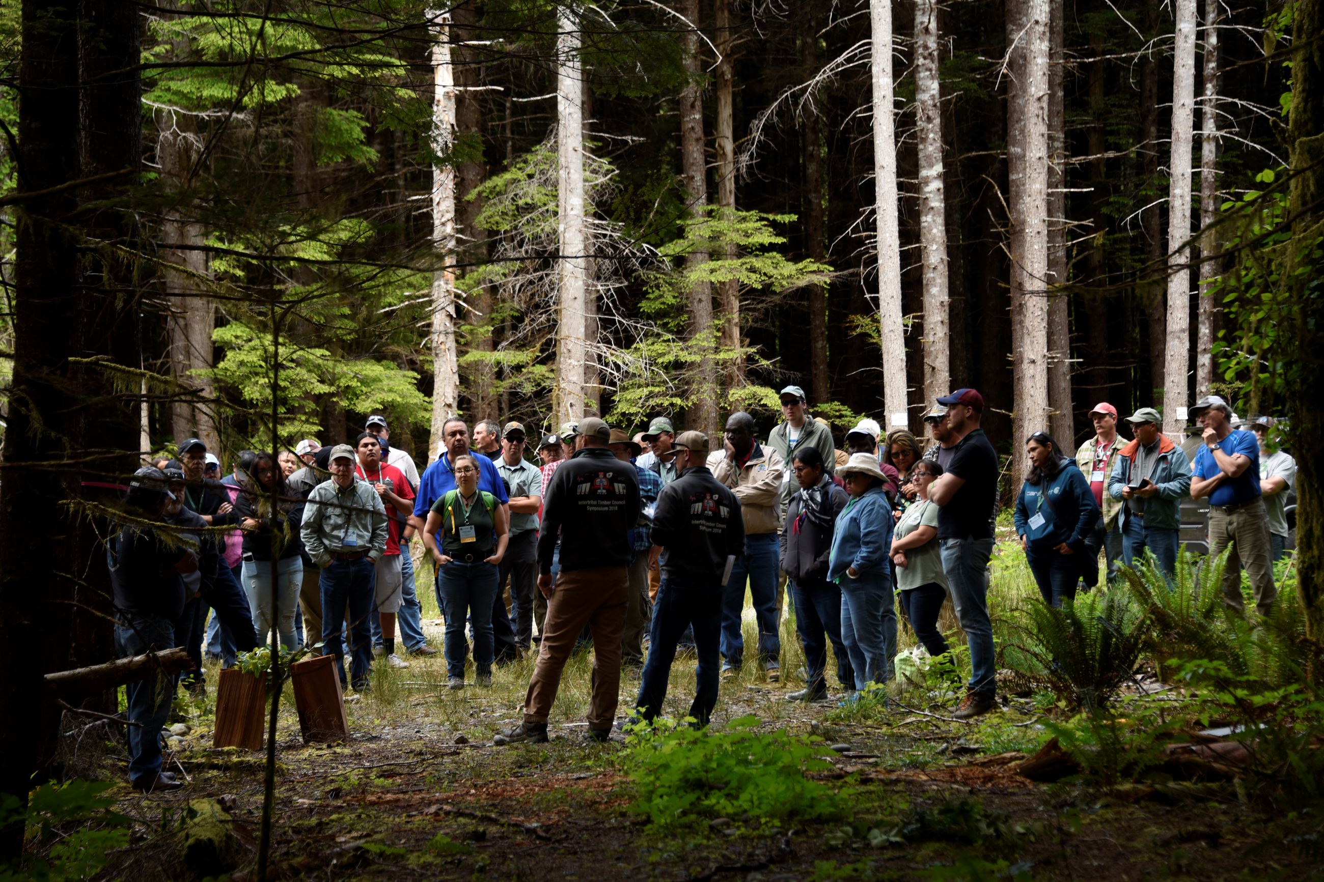 A group of people watching a demo in a forest