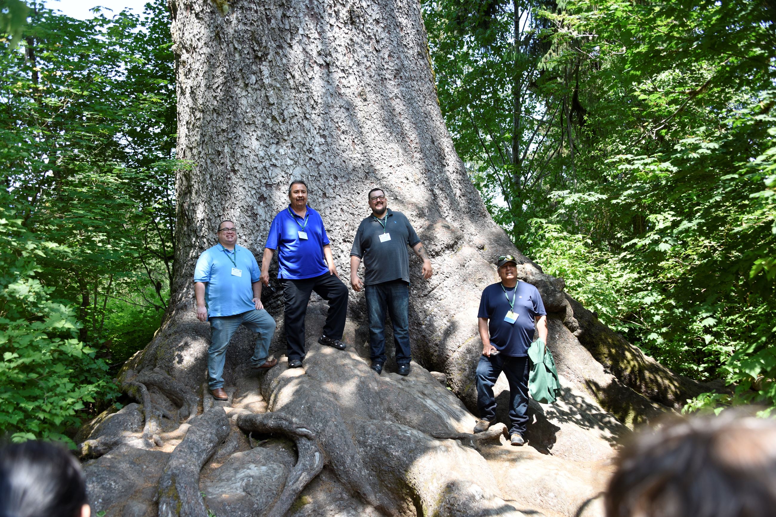 4 men standing at the base of a large tree