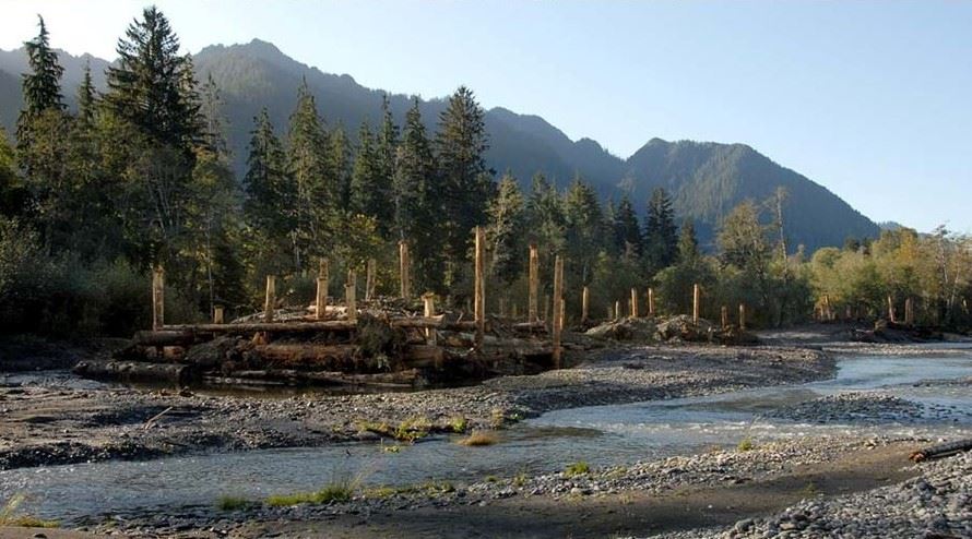 engineered log jam in upper Quinault River