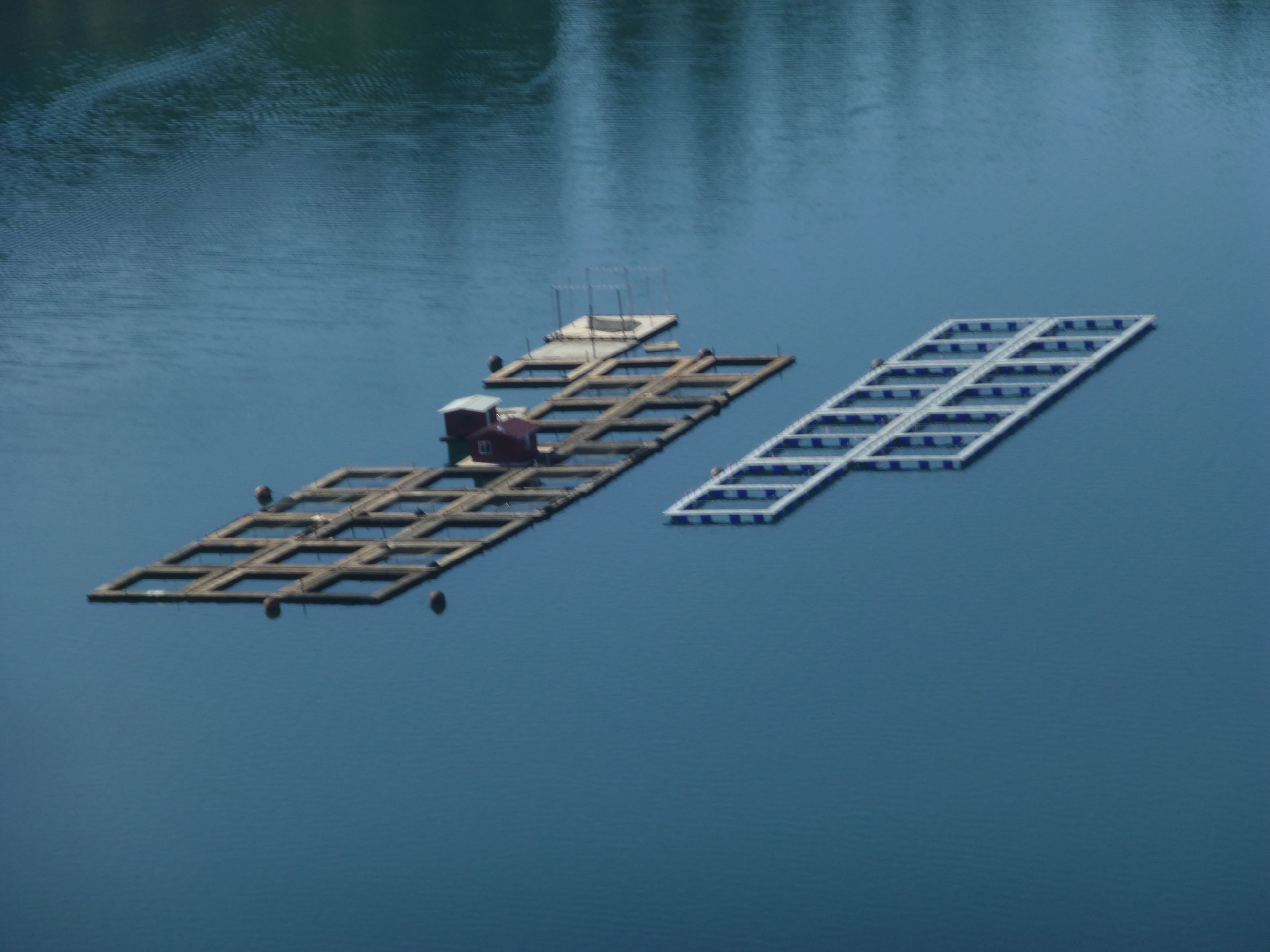 aerial view of net pens