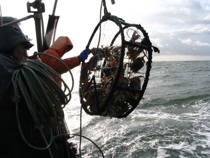 crab pot overhead being brought on board boat