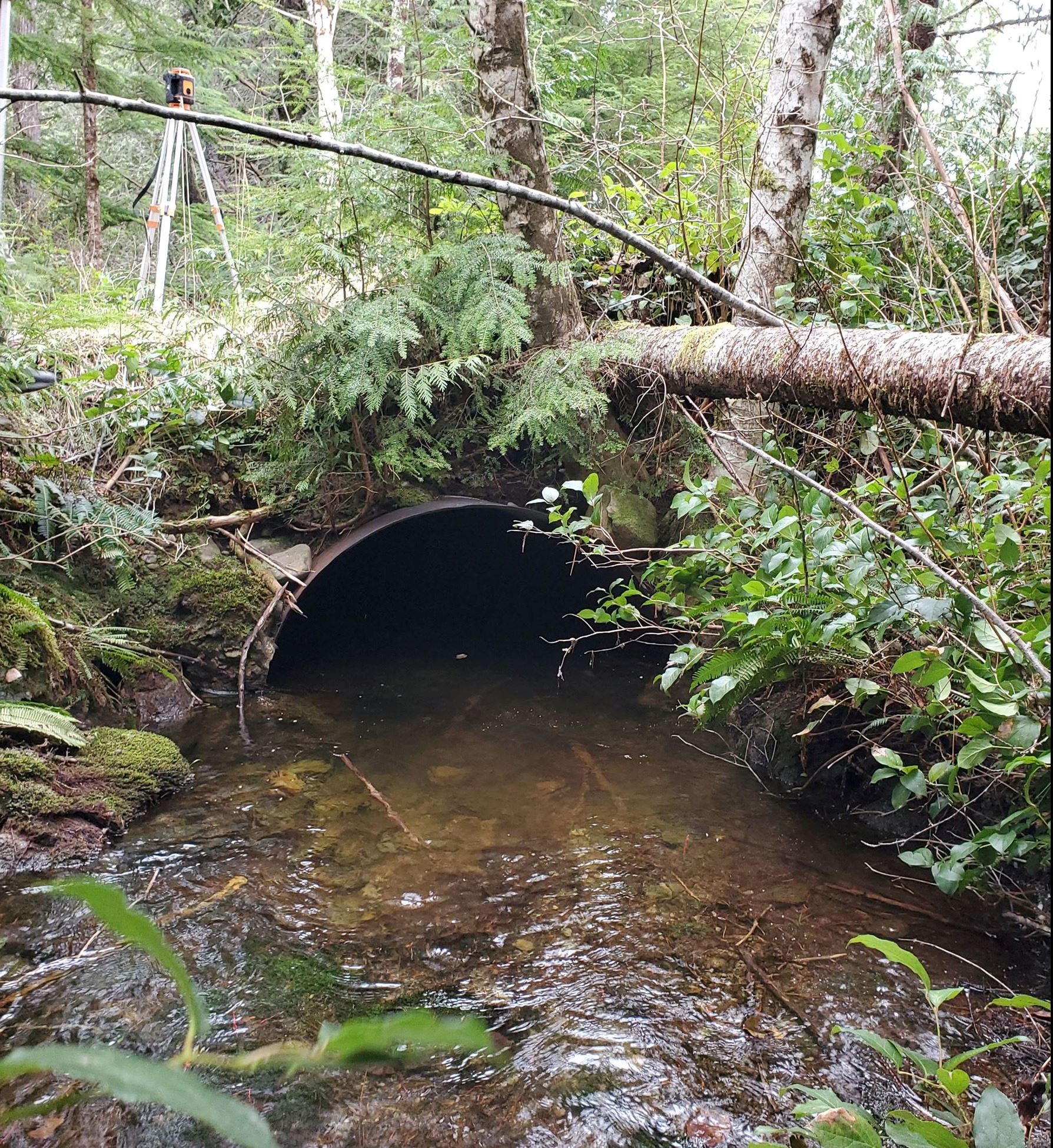 group of people standing in a river posing for a picture