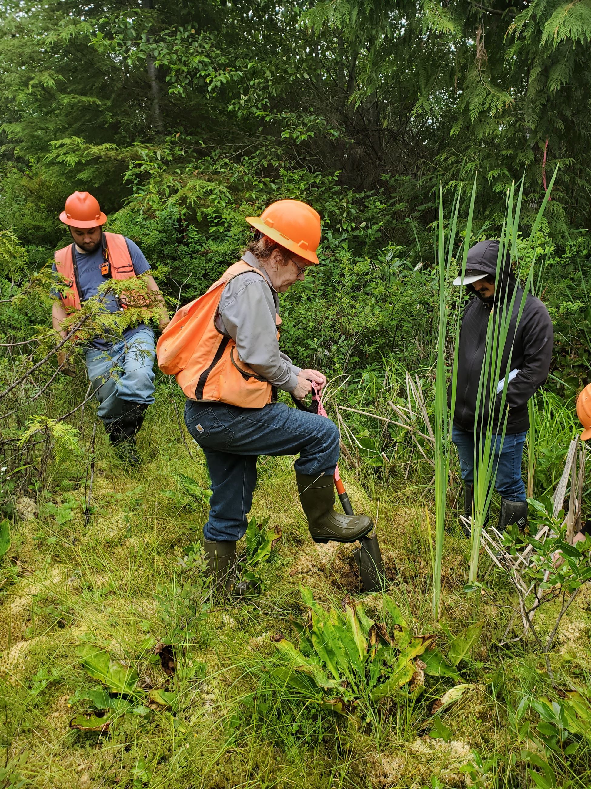 Person with a shovel digging a soil pit