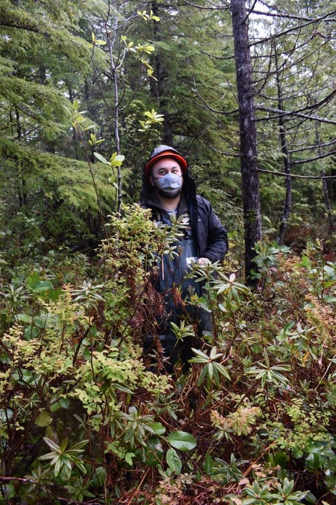 person standing outside in a patch of Indian Tea plants