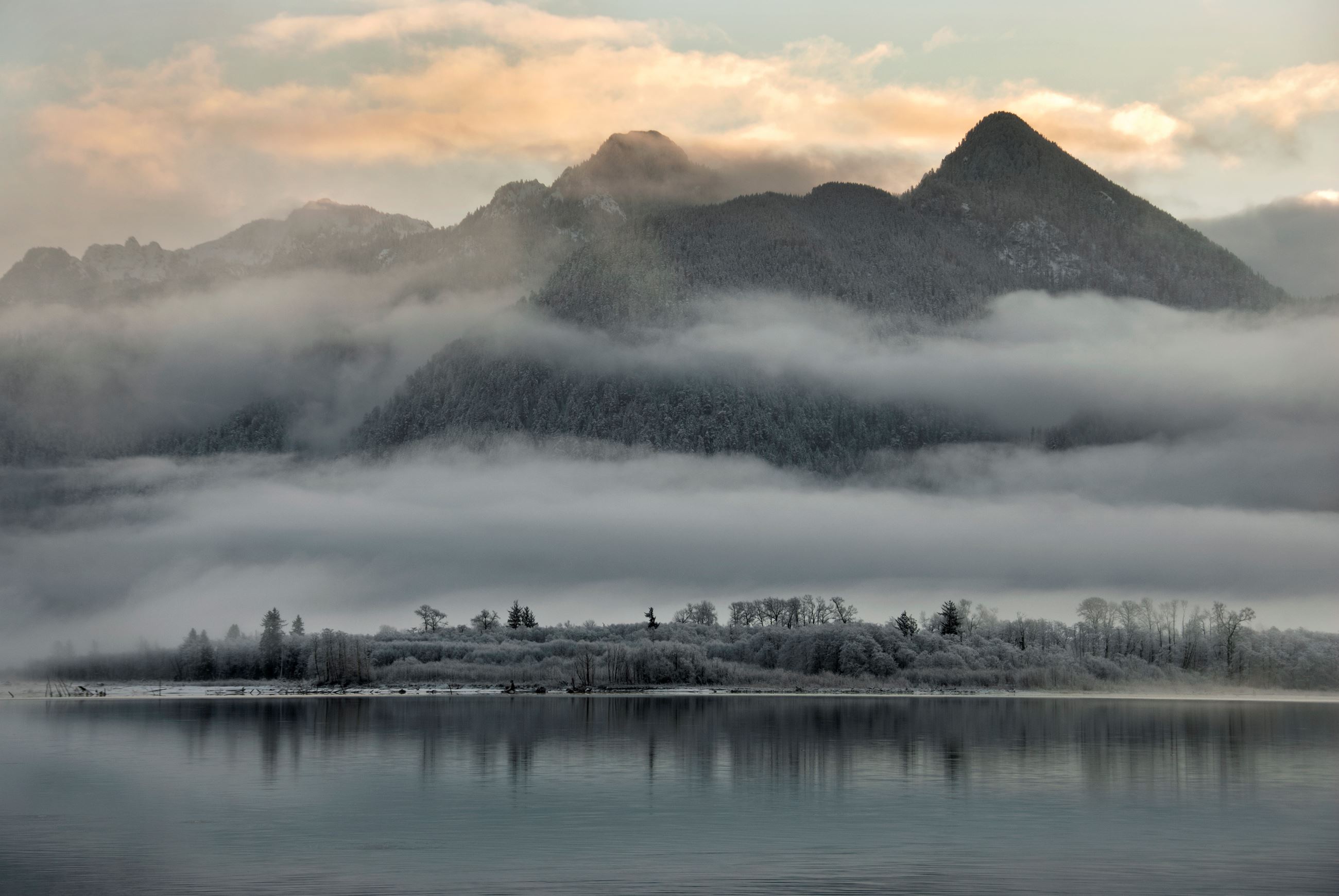200801 DSC_8977 Lake Quinault 300